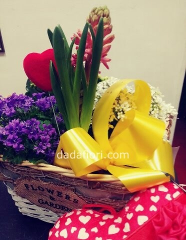 cestino piantine fiorite mix