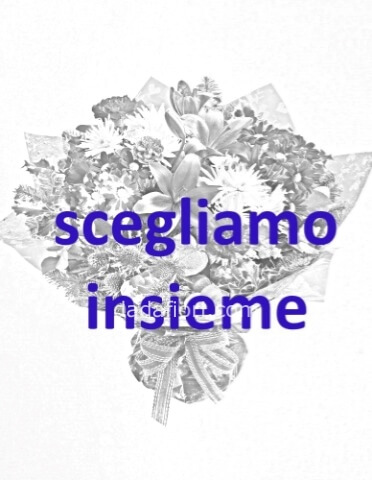 Omaggio da concordare a telefono al 3477591248